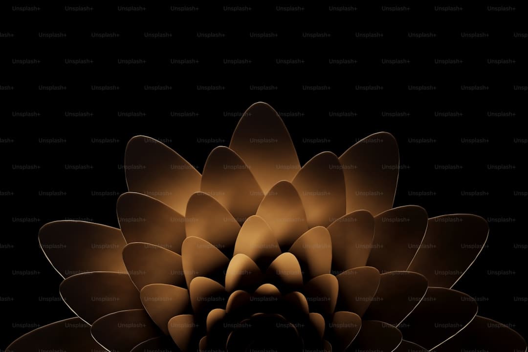 http://n.sinaimg.cn/translate/w900h611/20180311/WmH8-fxpwyhx1290070.jpg?zdy